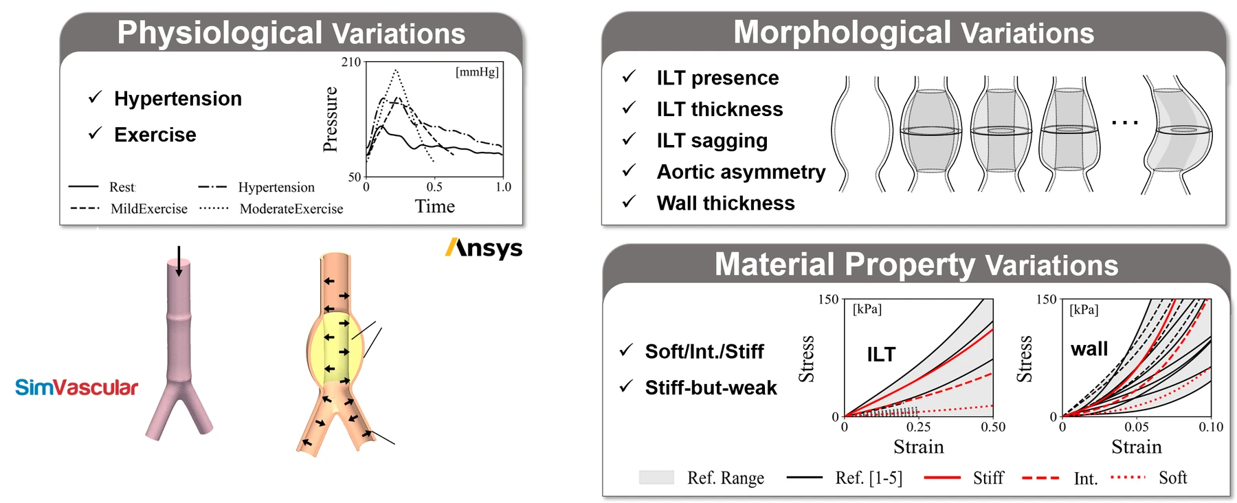 AAA geometry → pulsatile blood-flow simulation → pressure loading → wall and thrombus mechanics → stress and deformation