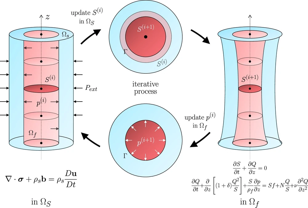 3D tissue and vessel cross-section under external pressure → the same vessel as a 1D centerline domain → pressure and cross-sectional deformation exchanged at the interface → multi-fidelity and full 3D FSI results compared