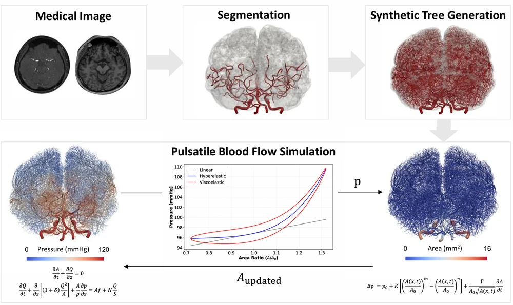 Medical imaging → vascular segmentation → synthetic microvascular networks → multiscale blood-flow simulation → three-dimensional tissue perfusion, with supine, upright and inverted posture compared beneath
